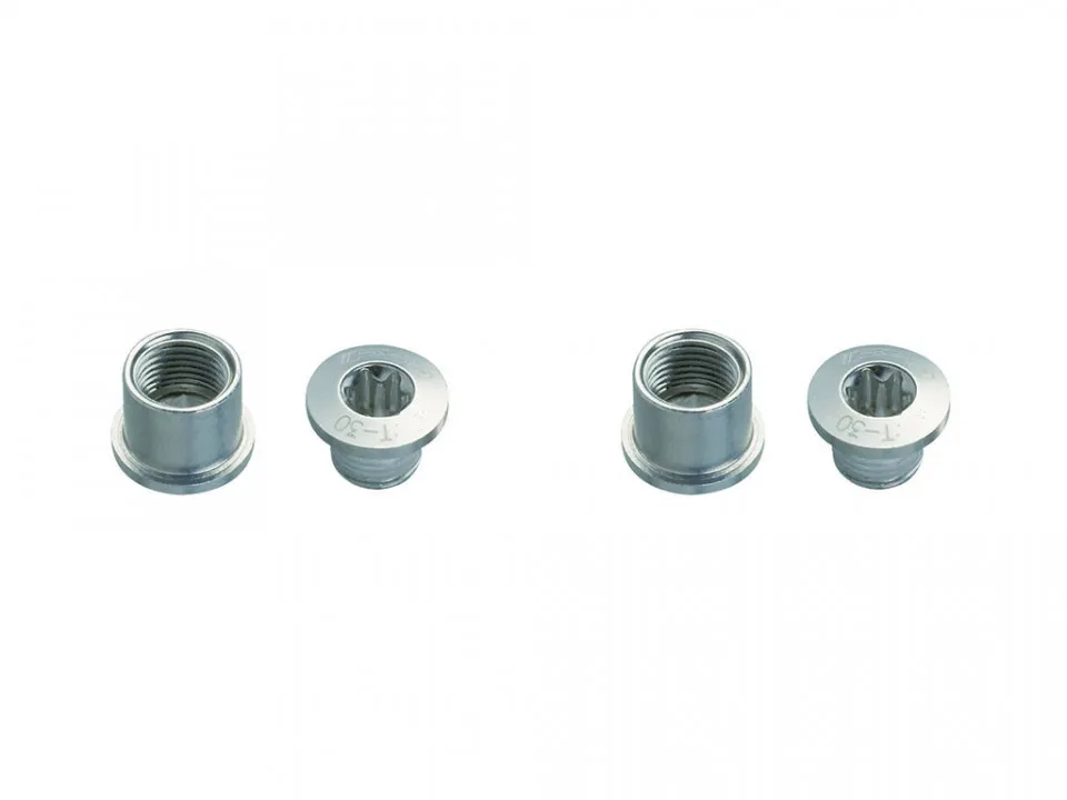 Suruburi foaie angrenaj + torx FSA CR Bolt Kit Argintiu Road/MTB T30 E0024 5 buc Ofertă