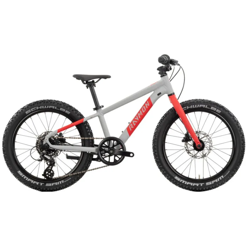Bicicleta Copii Raymon Yanga 20 Pro 2025 - 20 Inch, Gri - Altus Reducere de preț