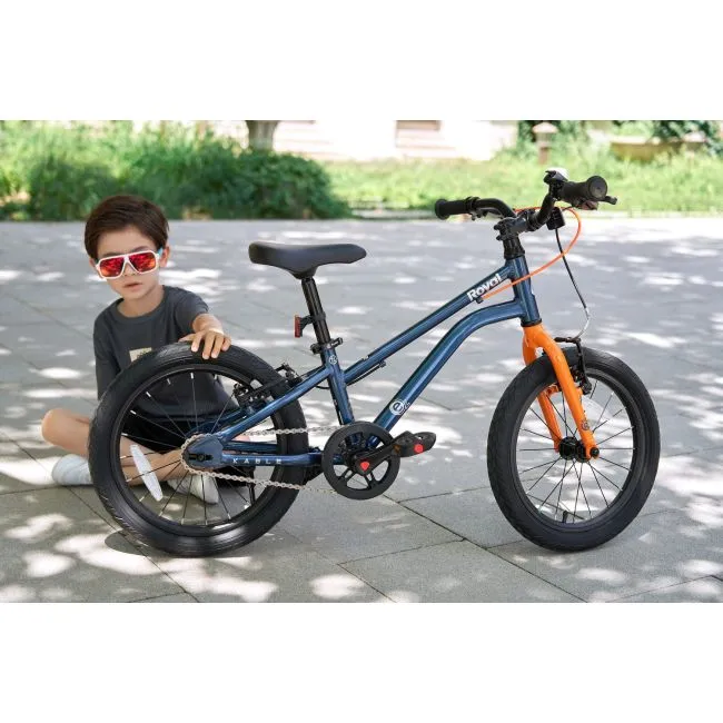 Bicicleta Royal Baby Kable-EZ 14 Golden Popular