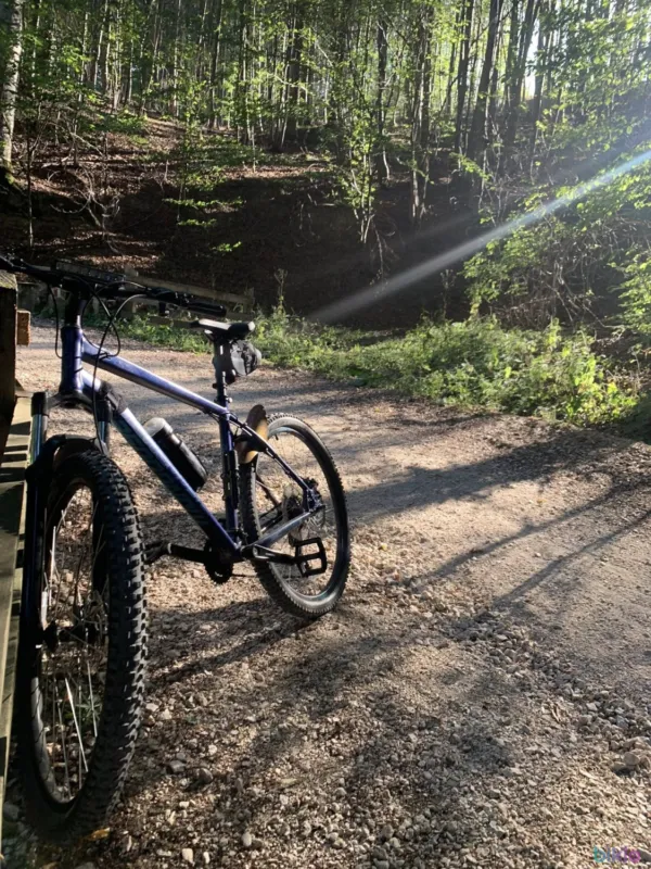 Cump?r?turi sigure Mongoose Switchback Expert