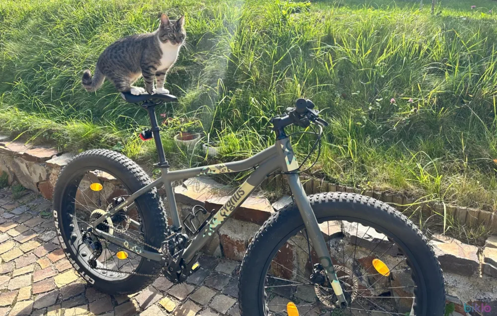Fat Bike Cygnus 26.4 Ofert?